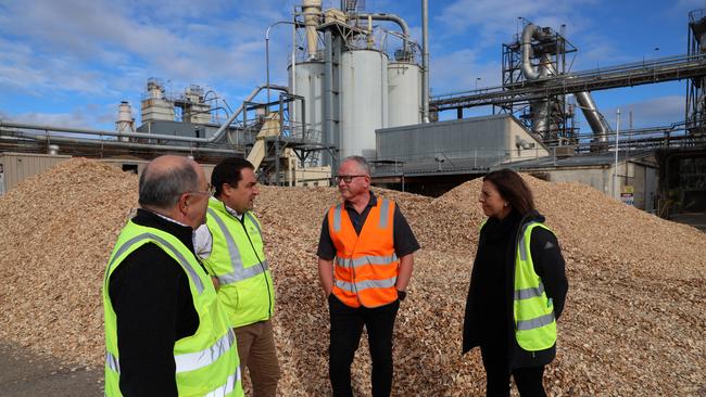 UniSA Forestry researcher Dr Jim O’Hehir, Tony Pasin MP, Borg Manufacturing facility manager Greg Kenny and GTFIH executive general manager Liz McKinnon. Picture: Supplied Portland Forestry funding announcement