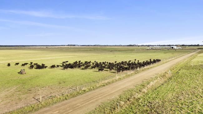 Excel Farms purchased the Karrara Aggregation, in southwest Victoria, about three years ago. Picture: Supplied.