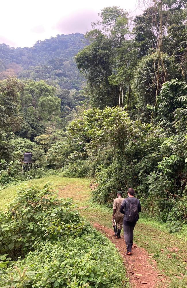 Heading into Bwindi Impenetrable in search of gorillas. Picture: Riah Matthews