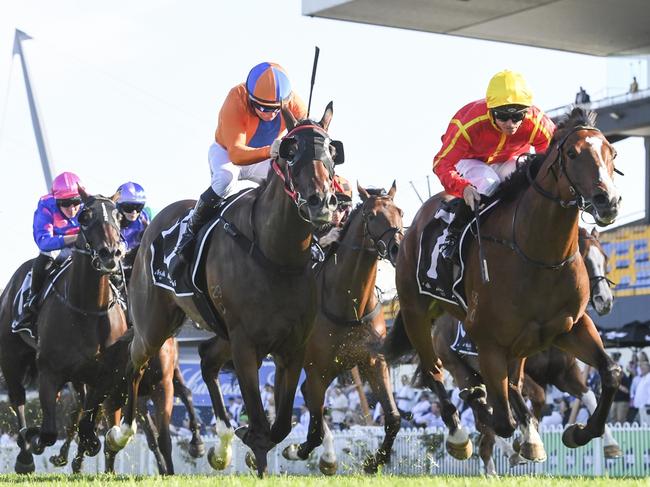 Horses will continue to race at Rosehill ... and the government is looking for a plan B to create significant housing. Picture: Bradley Photos