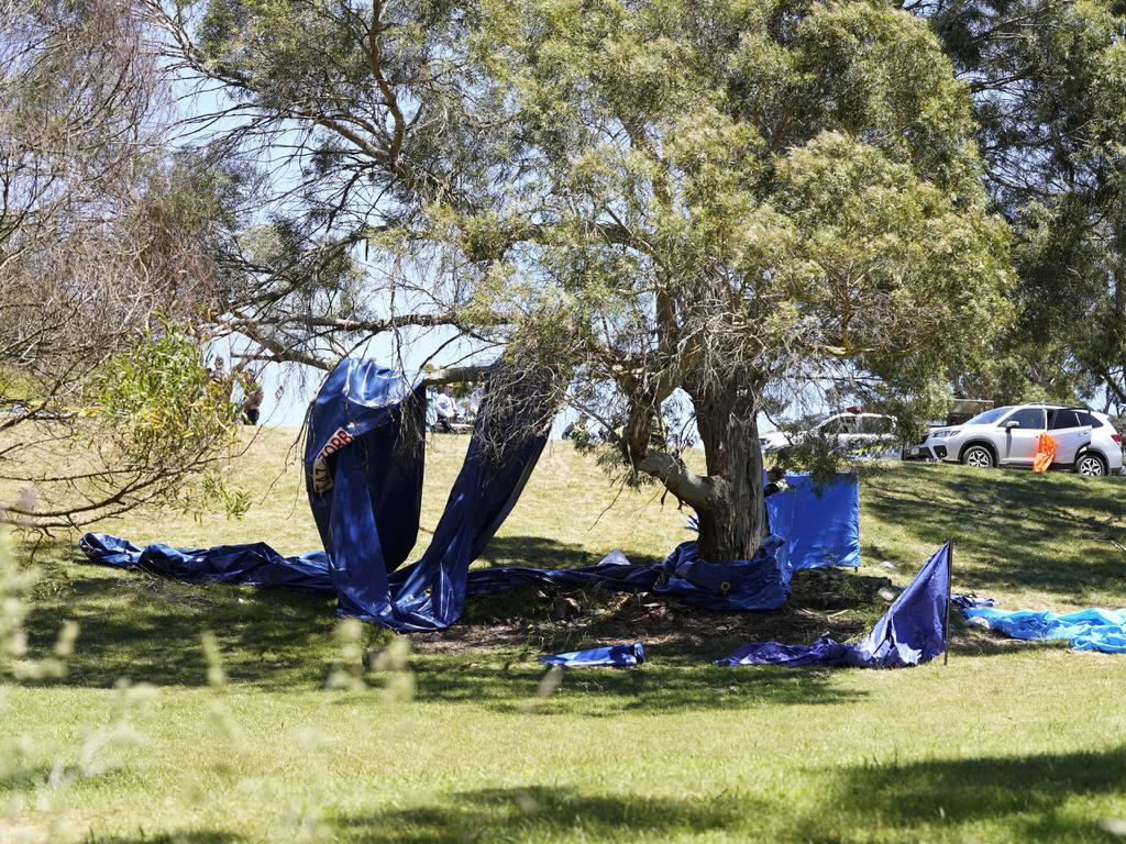 The freak accident happened at Hillcrest Primary School in Devonport. Picture: Rob Burnett