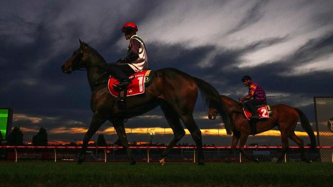 Mr Brightside (NZ) ridden by Craig Williams and Poifect during Breakfast with the Best trackwork  at Moonee Valley Racecourse on October 22, 2024 in Moonee Ponds, Australia. (Photo by Scott Barbour/Racing Photos via Getty Images)