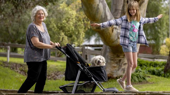 Letitia Lamprell pushes her dog Buddy in a stroller with her granddaughter Bella, 10. Picture: Kelly Barnes