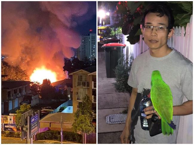 Pet parrot saves man from house fire