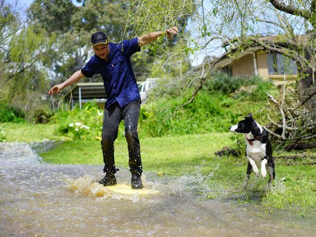 Kyle Brand took photos of his brother Daniel Brand attempting to surf in their flooded yard in Willunga South. Picture: Donna Chess