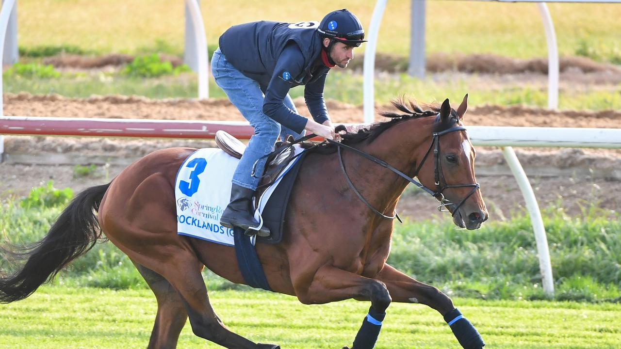 Jerome Frandon rides Docklands during trackwork at Werribee on Tuesday morning. Picture: Racing Photos via Getty Images