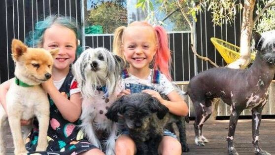 Fifteen-year-old Pomeranian Jerry (far left) with Annie's daughters Delphi and Cheska and his doggie family.