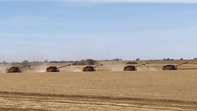 Ouyen United Kangas football netball club harvesting their lentil crop in 2021. Picture: Supplied