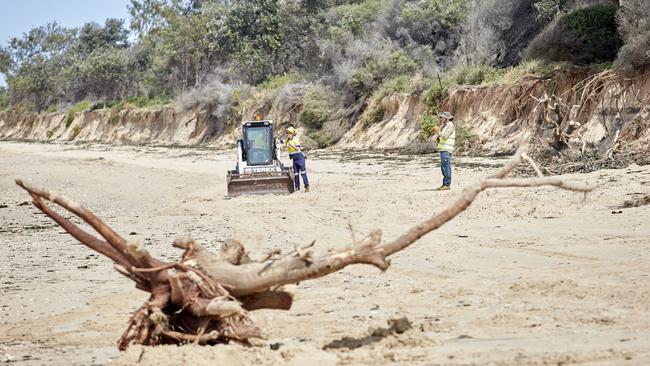 Workers clear tree trunks that have fallen onto the beach due to erosion.