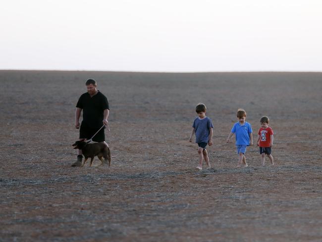 Cowan walks with his three sons Hudson, Oliver and Harrison and kelpie Belle through a paddock about this time last year. Picture: Alex Coppel.