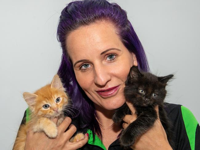 Robyn Van Rooyen with foster kittens. Picture: Michaela Harlow