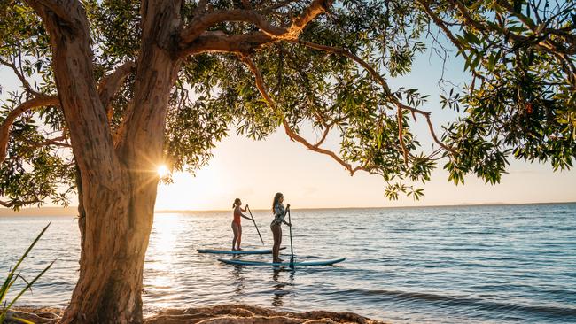 Tourism and Events Queensland has cheap flights to the Sunshine Coast, where you can find Lake Cootharaba near Noosa. Image: Jesse Lindemann