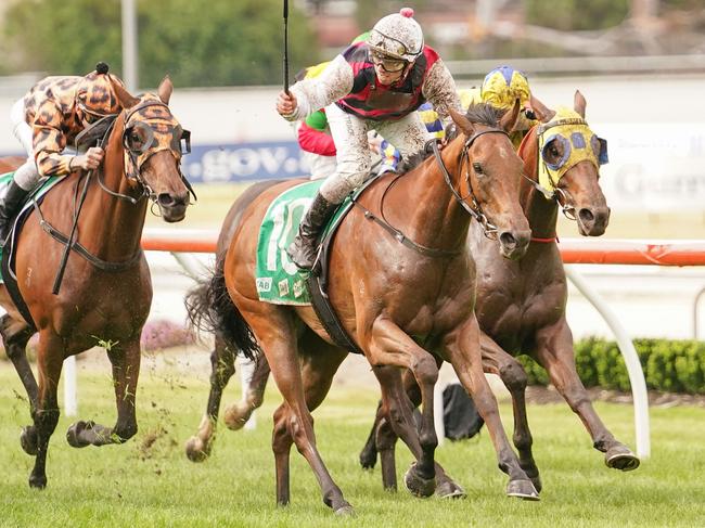 King Magnus ridden by Lachlan King wins the TAB Cranbourne Cup at Cranbourne Racecourse on November 13, 2021 in Cranbourne, Australia. (Scott Barbour/Racing Photos via Getty Images)