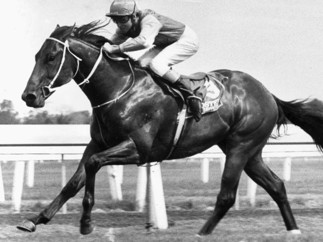 Snippets set the standard by winning the 1987 Magic Millions.