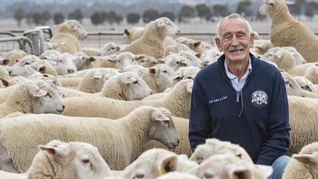 After a successful comeback last year, the Australian Sheep and Wool Show is aiming for repeat success in 2023. Picture: Zoe Phillips