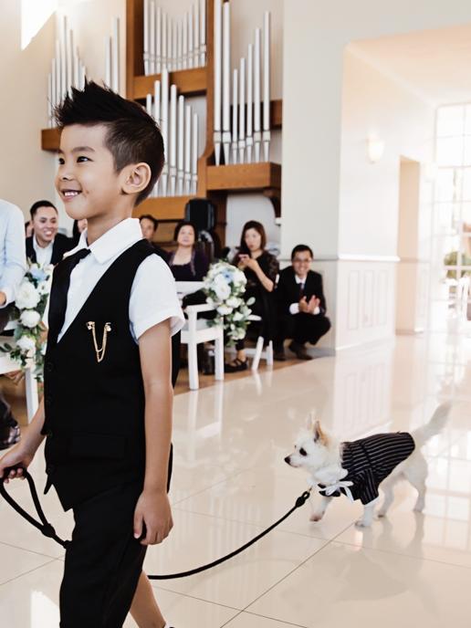 Saving the day: Dog chum Siu Bak makes his entrance, photography: Quince and Mulberry Studios