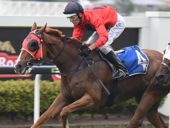 RULING FORCE winning yday, as requested by kempy plse credit grant peters trackside photography