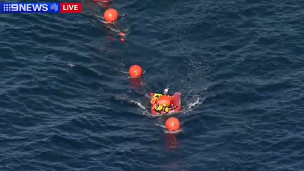 The juvenile humpback whale had become entangled in Sydney Harbour. Picture: 9NEWS