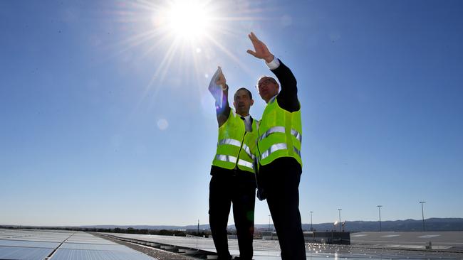 Premier Jay Weatherill and Energy Minister Tom Koutsantonis support wider use of renewable energy sources such as solar panels. Picture: Tricia Watkinson