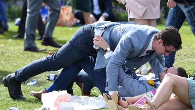 Loving life on the lawn Picture: Julian Smith/AAP