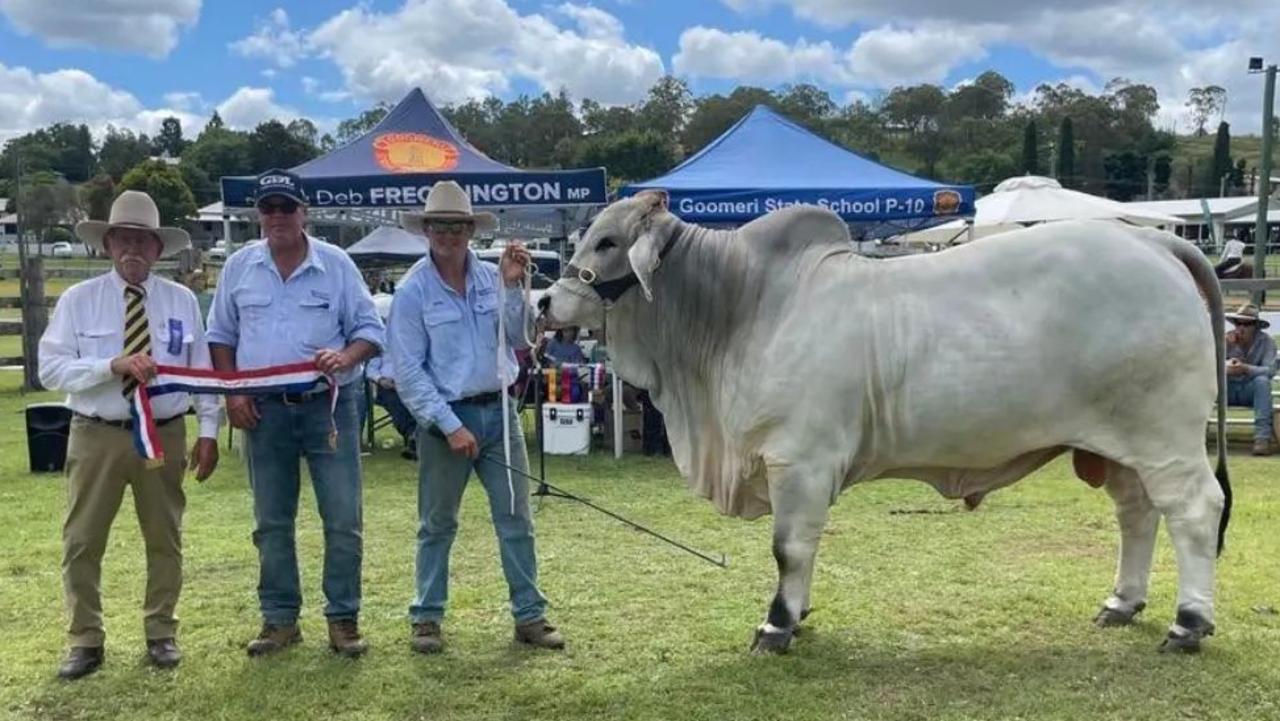 Brett Kirk (centre) accepts Supreme Champion Exhibit Goomeri Show with his stud Hazelton Brutus 6145.