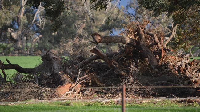 Proterra should be on “watch list”, Landcare group says | The Weekly Times