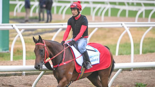 Romantic Warrior during a trackwork session at Werribee ahead of the Turnbull Stakes. Picture: Racing Photos via Getty Images