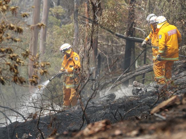 Collinsvale Fire Brigade members monitoring a blaze at Glenlusk. An emergency warning was issued for the blaze on Thursday, but was later downgraded. Picture: NIKKI DAVIS-JONES