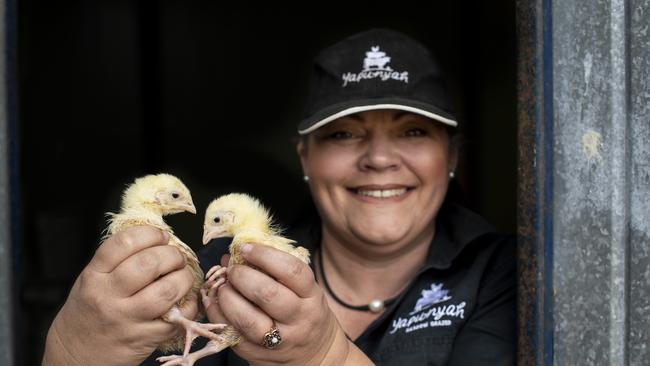 Mandy with chicks. Picture: Zoe Phillips