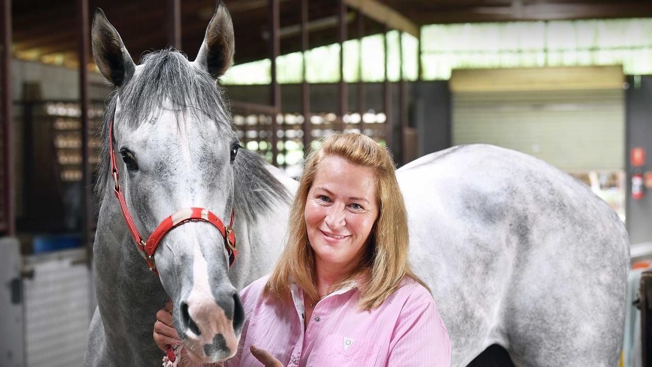Sunny Coast barrier blunder frustrates trainers