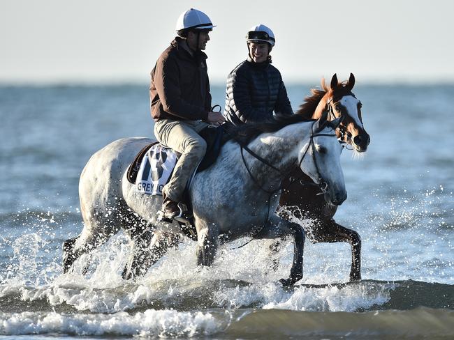 Francesca riding with her brother, Matt. Picture: AAP