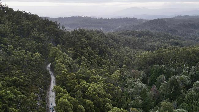 Takayna Trail Ultra Marathon through the Tarkine. Picture: Calumn Hockey/Bob Brown Foundationdefault