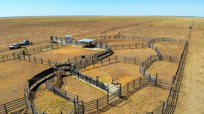 Bowen Downs Station near Muttaburra in centralwest Queensland.