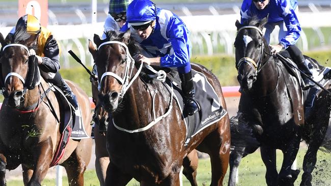 Winx and Chelmsford Stakes 2017: Traffic jam threatens mare’s winning ...