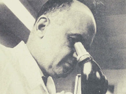 An undated photo of Maurice Ralph Hilleman in his laboratory.