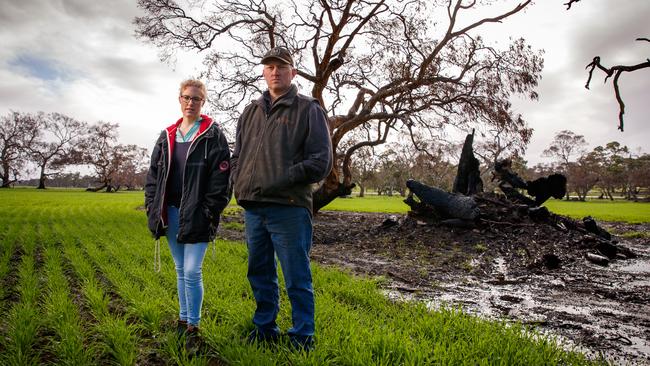 South East residents David and Fiona Rasheed at their property at Keilira in June 2020, months after the blaze tore through the farming community.