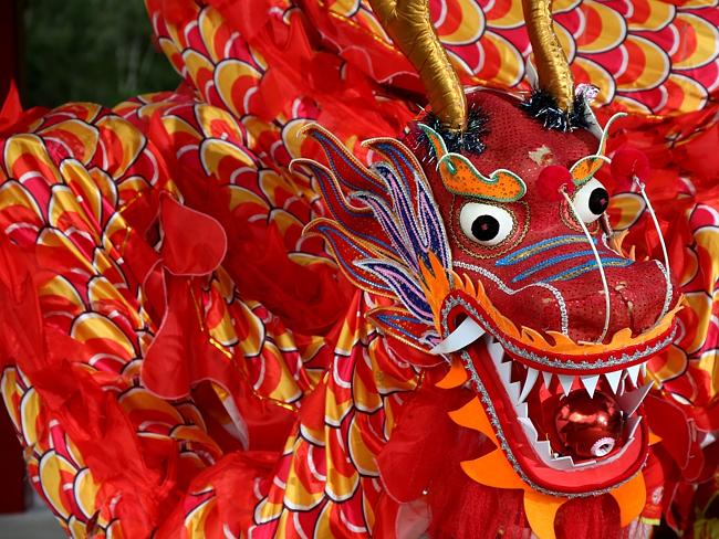 Chinese New Year in Cairns | The Cairns Post