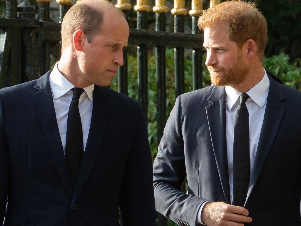 Prince William and Prince Harry both attended the funeral for their uncle in the UK this week. Picture: Mark Kerrison/In Pictures via Getty Images