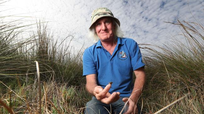 Andy Lines with a Yellowish Sedge-Skipper. Picture: Tait Schmaal