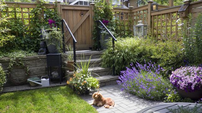 Gardens can be both functional and stylish.