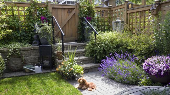 Gardens can be both functional and stylish.