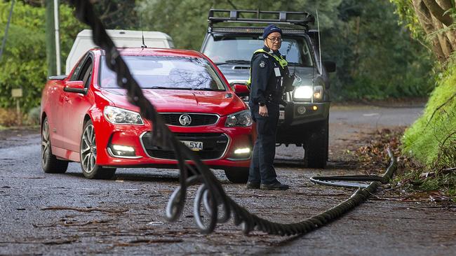 Fallen power lines in the Dandenong Ranges, some of which will be replaced with underground cables. Picture: David Geraghty