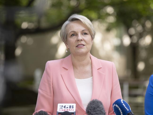 Federal Environment and Water Minister Tanya Plibersek will be advised about the development. Picture: Gary Ramage