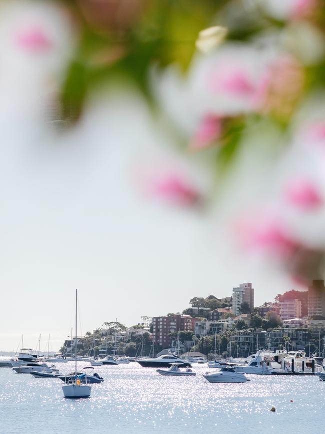 A view of the Sydney suburb of Double Bay. Picture: Elise Hassey