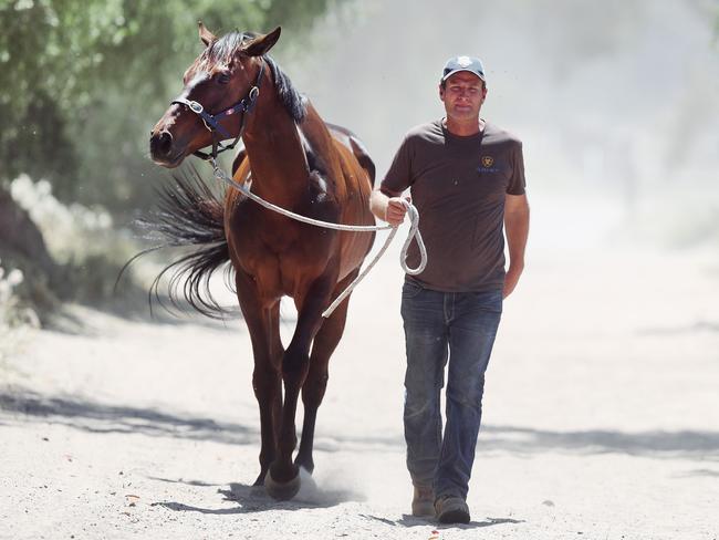 Horsham trainer Paul Preusker with Surprise Baby before finishing fifth in this year’s race.