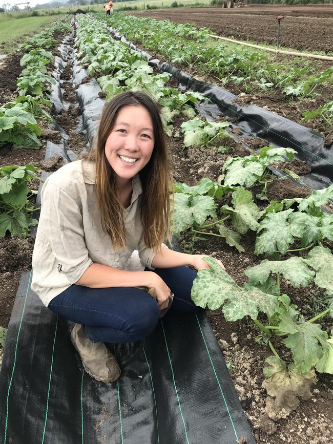 Spicy option: Christina Kelman on her family’s vegetable farm at Wallacia, near Sydney.