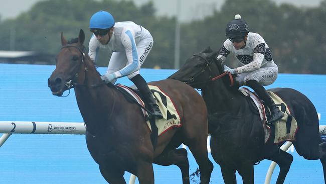 SYDNEY, AUSTRALIA - DECEMBER 07: Ashley Morgan riding Private Harry wins Race 1 Petaluma during Sydney Racing at Rosehill Gardens on December 07, 2024 in Sydney, Australia. (Photo by Jeremy Ng/Getty Images)