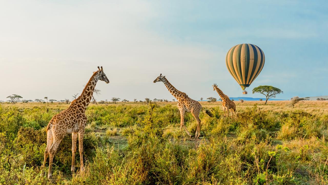 5 Rules Every Tourist Needs To Know In Africa Escape Com Au