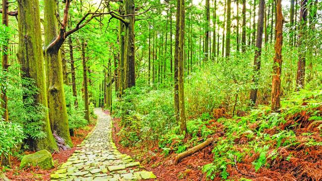 The World Heritage listed Kumano Kodo pathway at Nachi, Wakayama.