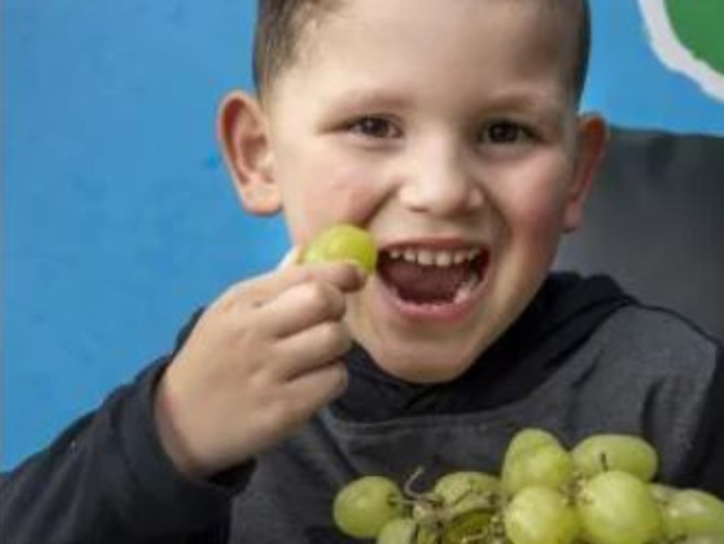 Expert's warning over unusully large grapes. Picture: Herald Sun.